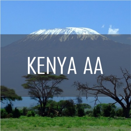 (1kg) 케냐 AA 원두커피